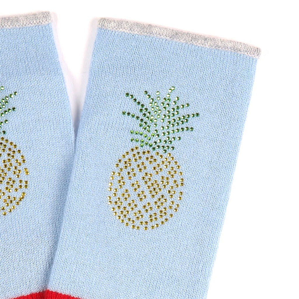 Berlin Mittens in Pale Blue with Pineapple - Adeela Salehjee